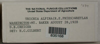 Image Associated With the Occurence